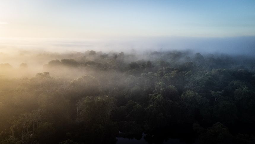 Prales nad ránem